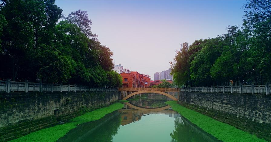 沙坪坝区陈家桥街道