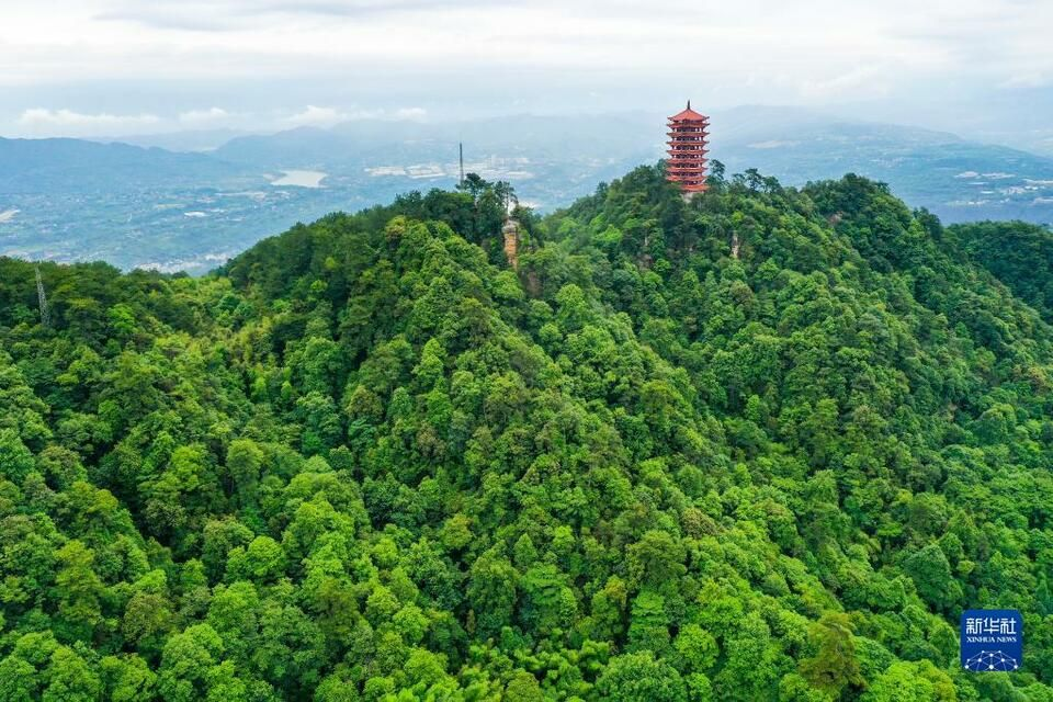 缙云山生态环境治理实践教学基地